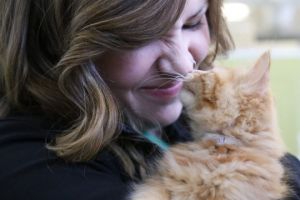 pet adoption places in calgary Calgary Humane Society