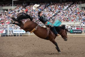 academies to learn basque in calgary Calgary Stampede