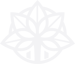 Lotus Cleaning Icon