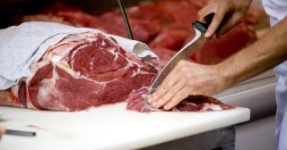 stores wild boar meat calgary Calgary Meats & Deli