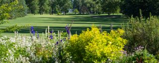 html courses calgary Maple Ridge Golf Course
