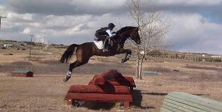 horse riding courses calgary Simpson's Equine Activities