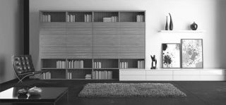 Stylish interior with a large bookcase